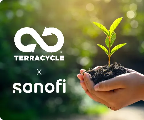 A dense forest illuminated by sunlight.